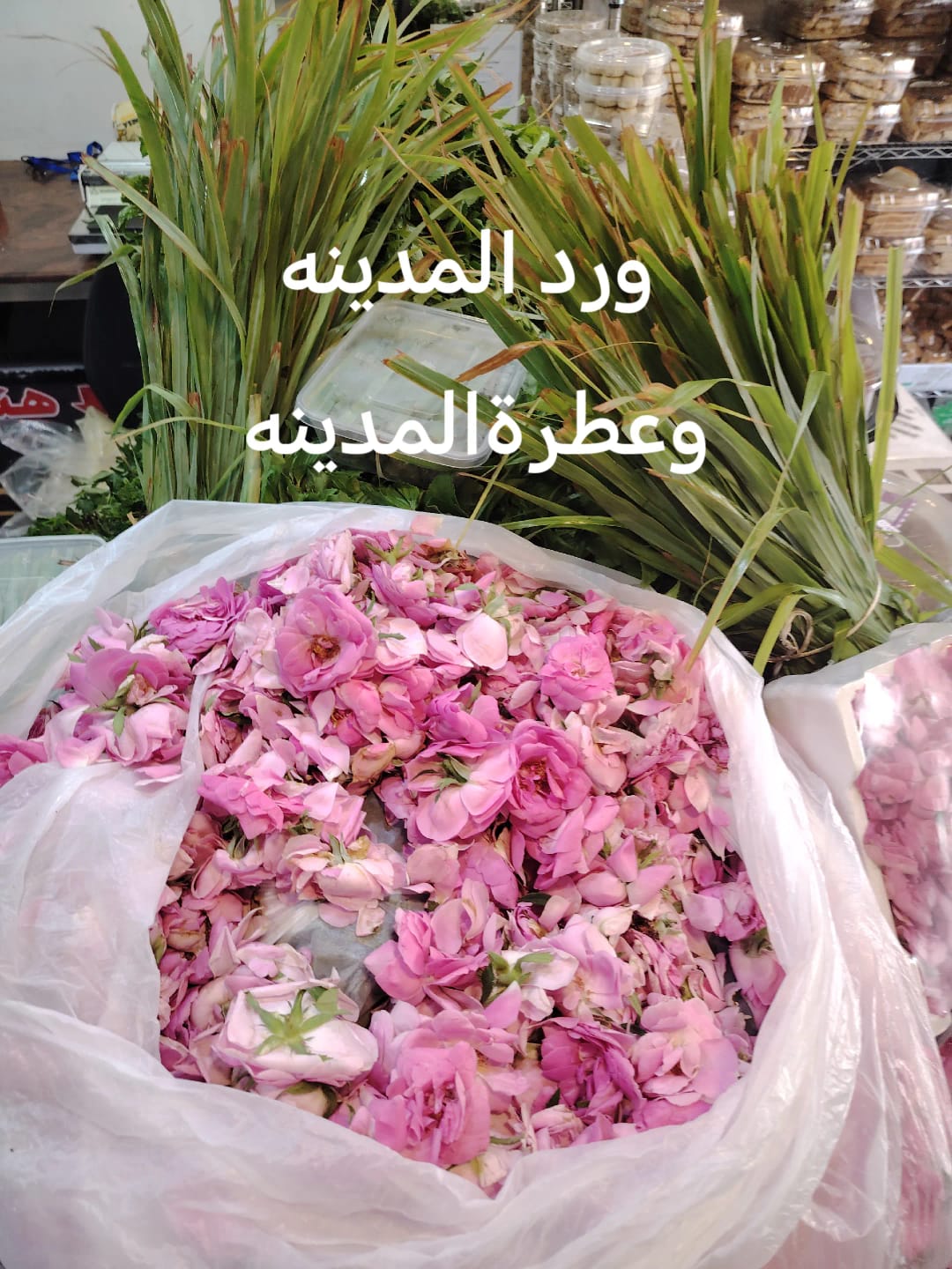 ورده المدينه وعطر المدينه