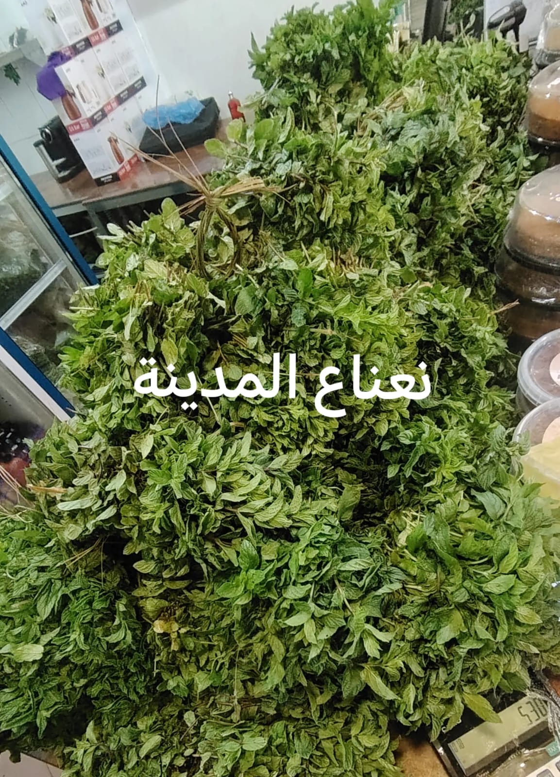 نعناع المدينه الشكه